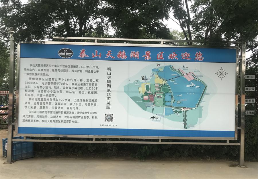 天鵝湖風(fēng)景區(qū)（泰山）速覽！(圖2)