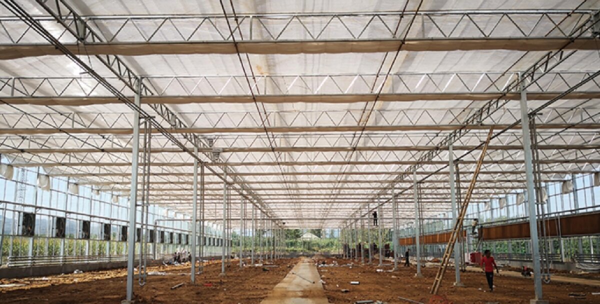 信橋鋼構(gòu)：打卡蒙陰農(nóng)業(yè)溫室大棚、青州黑牛養(yǎng)殖基地！(圖3)